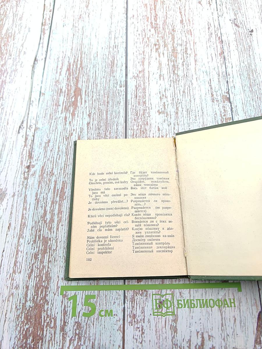 Чешско-русский разговорник