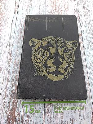 Пятнистый сфинкс. Пиппа бросает вызов