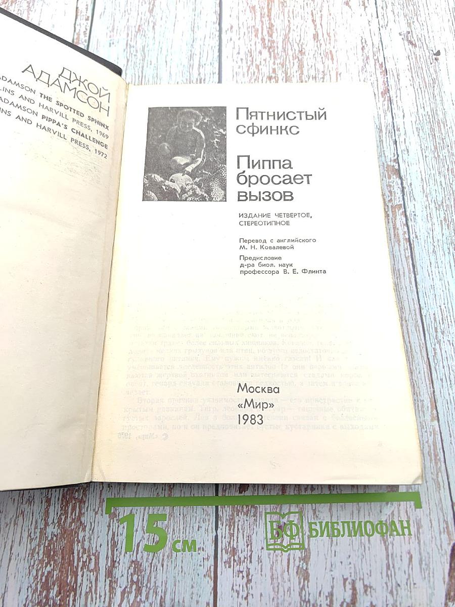 Пятнистый сфинкс. Пиппа бросает вызов