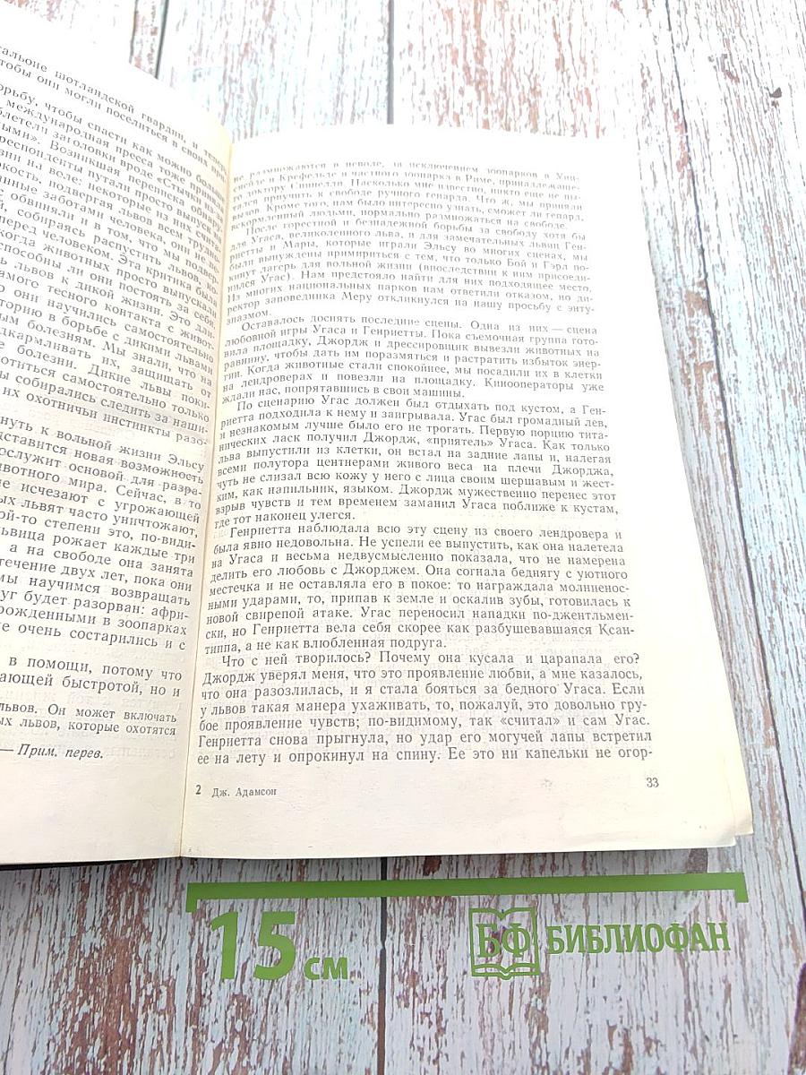 Пятнистый сфинкс. Пиппа бросает вызов