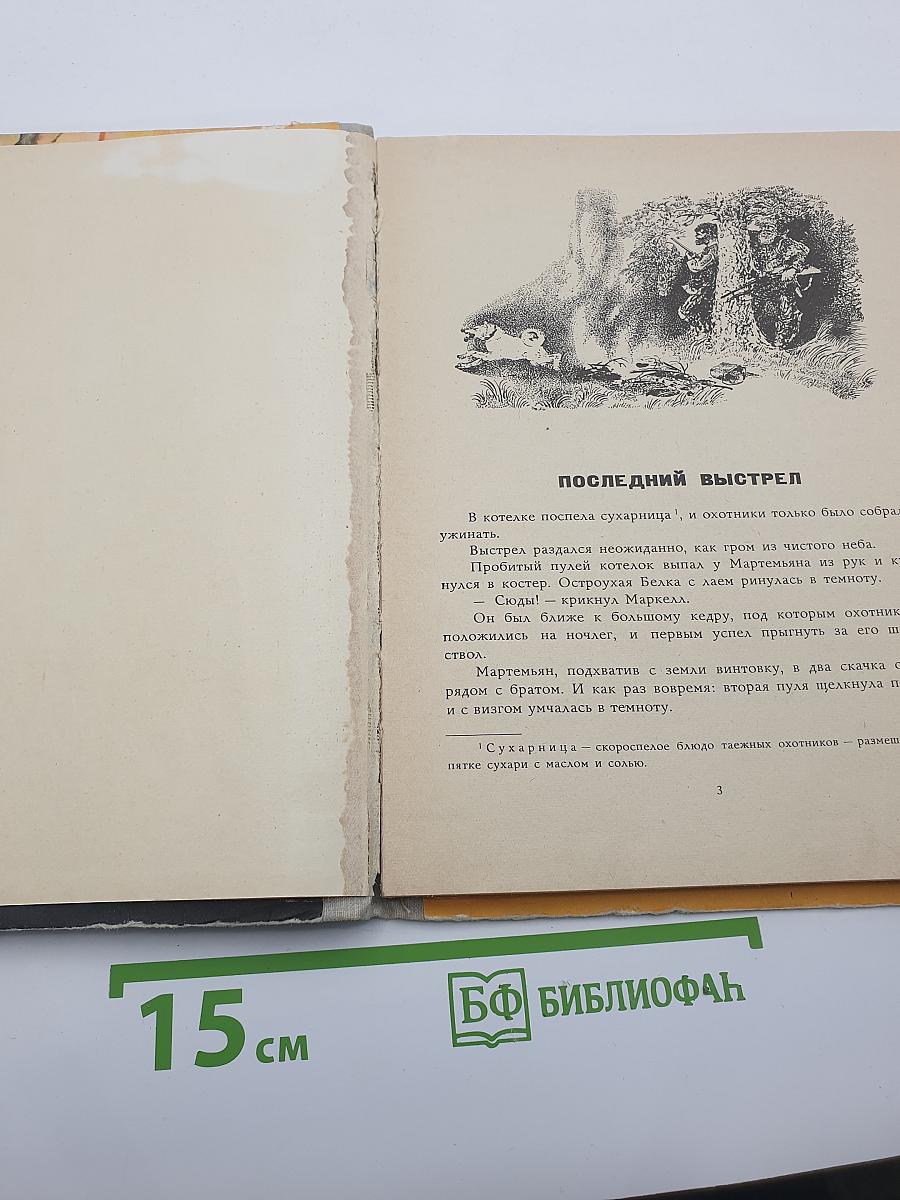 Последний выстрел