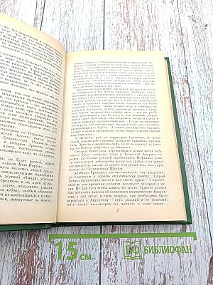 Скромный кондотьер. Феномен Че Гевары