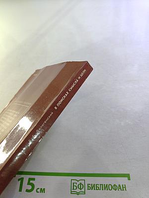 В поисках смысла и цели