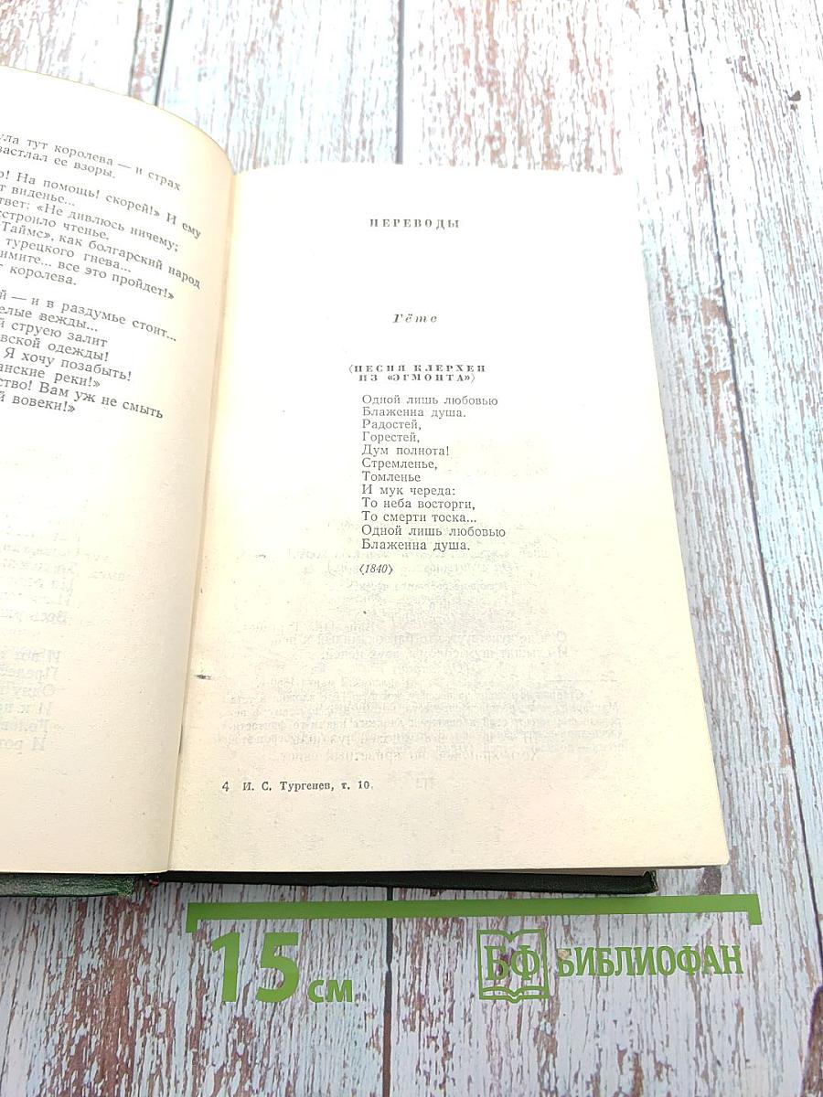 Собрание сочинений. Том десятый: Стихотворения, поэмы, литературные и житейские воспоминания, переводы