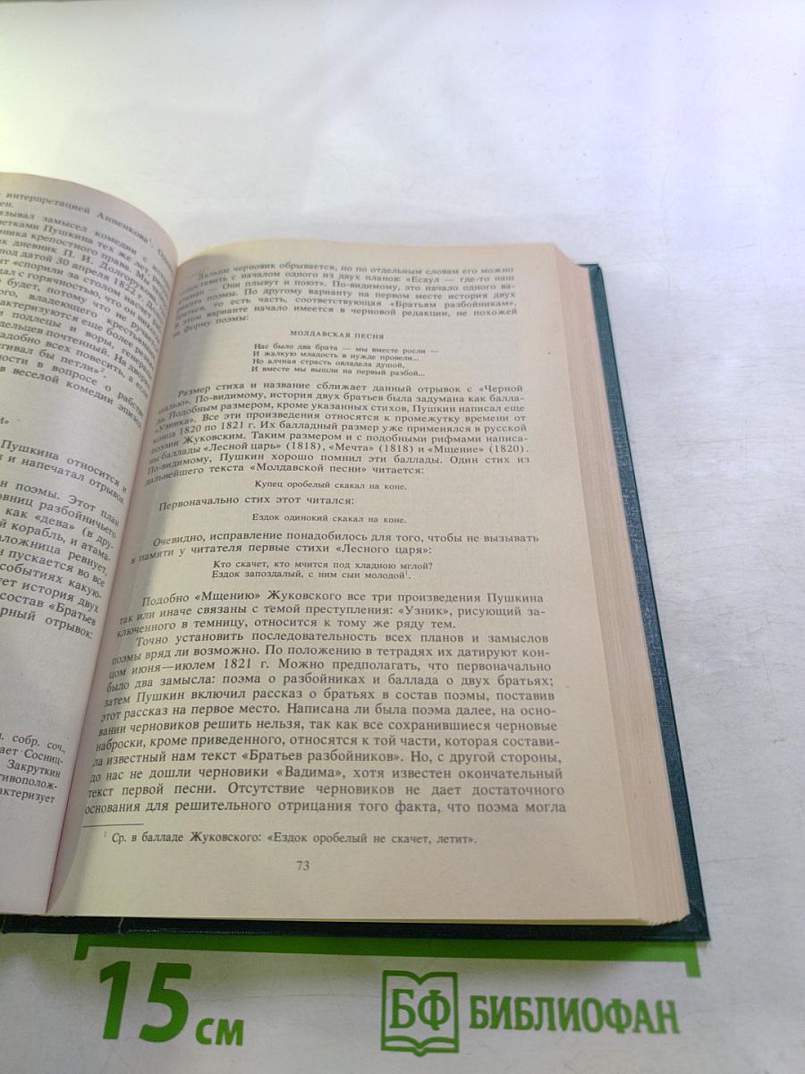 Пушкин. Том второй. Юг. Михайловское