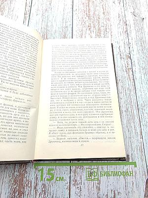 Приключения Якова Верного. Маленький Дикарь