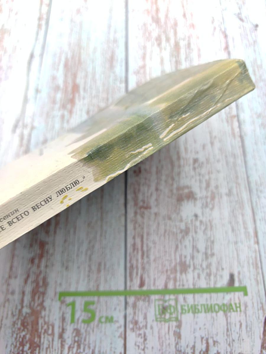 Я более всего весну люблю...