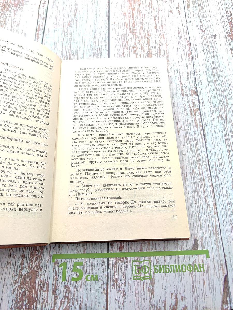 Проклятие могилы викинга