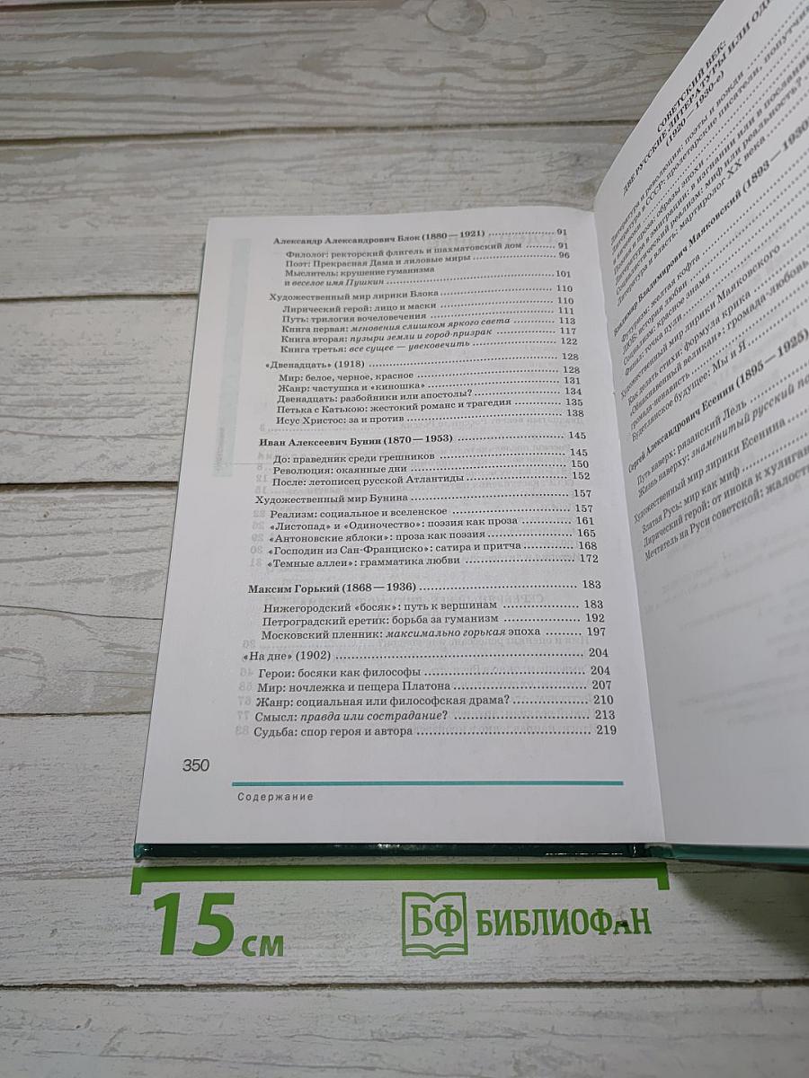 Русский язык и литература. Литература. Учебник для 11 класса. Часть 1