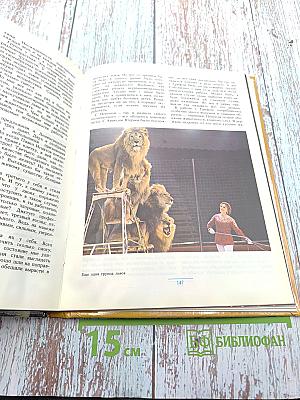 На арене и вокруг нее