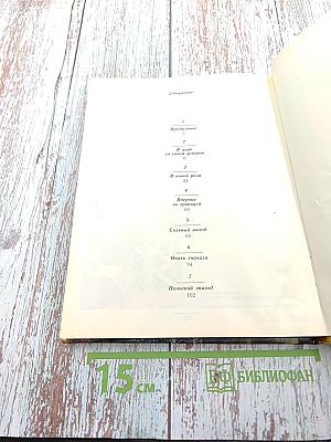 На арене и вокруг нее