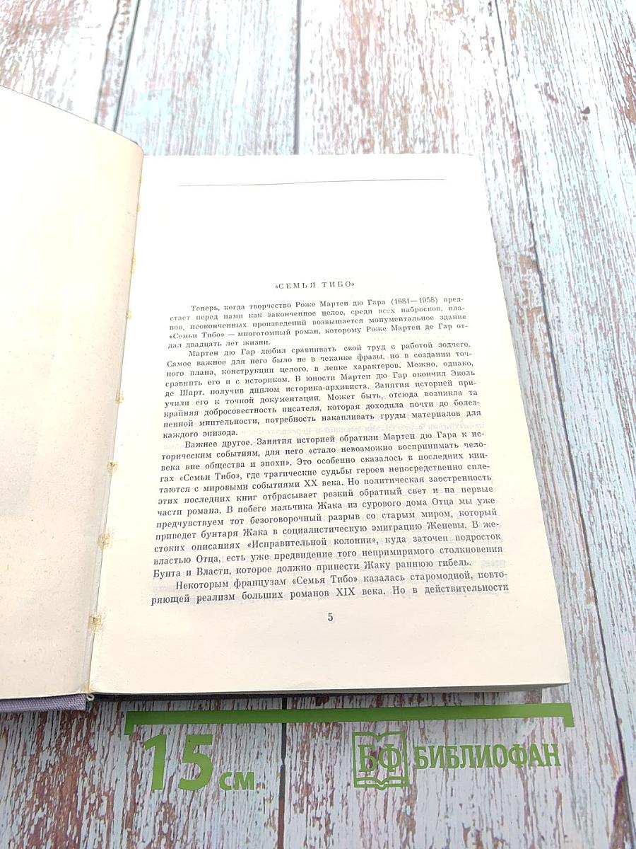 Семья Тибо. Том I