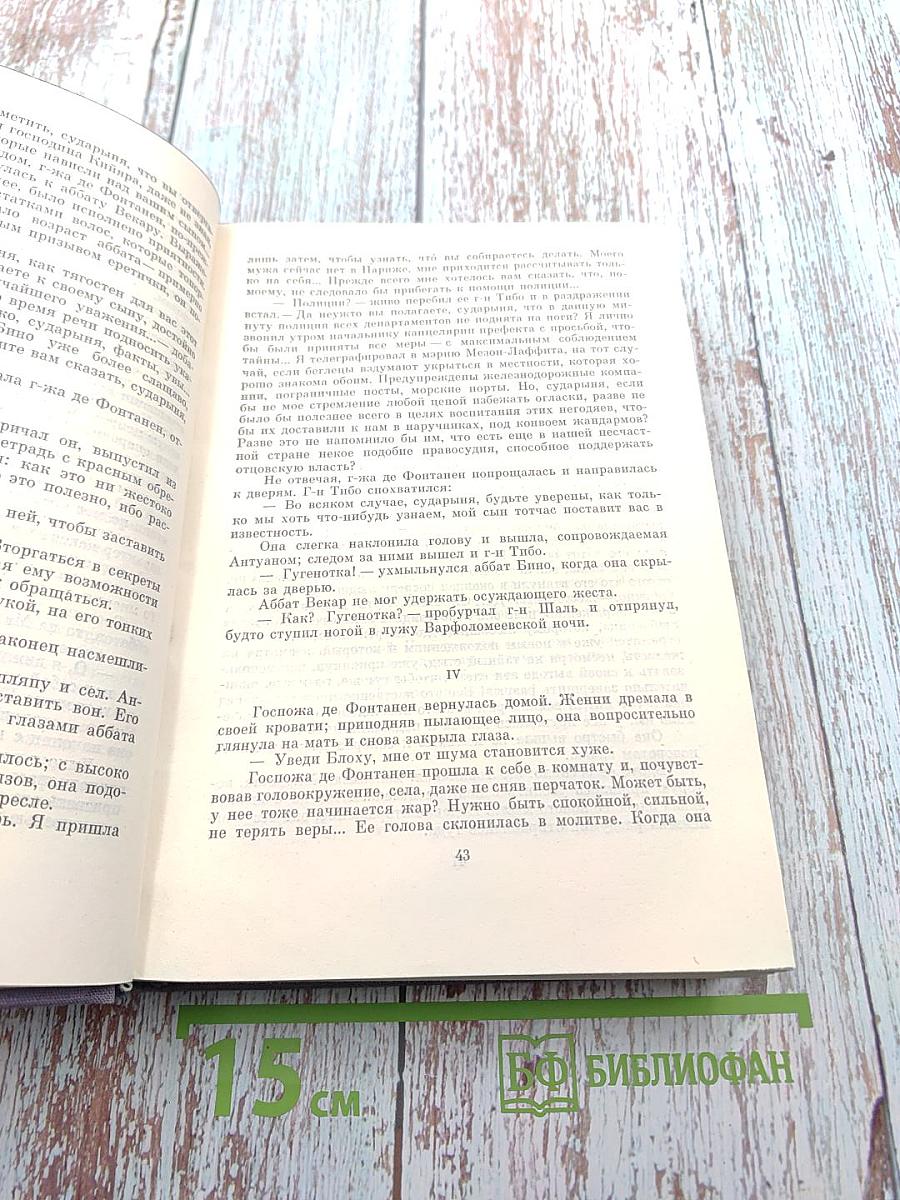 Семья Тибо. Том I