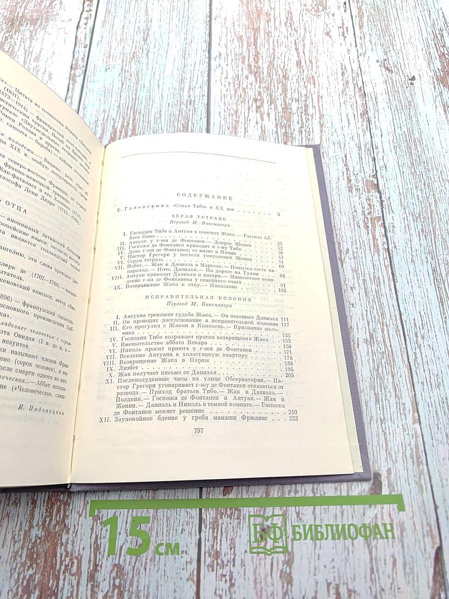 Семья Тибо. Том I