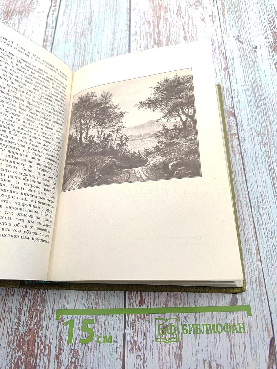 Зеленый Генрих