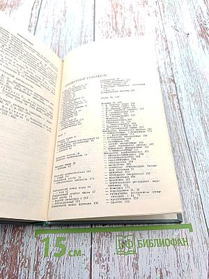 Алгоритмы и рекурсивные функции