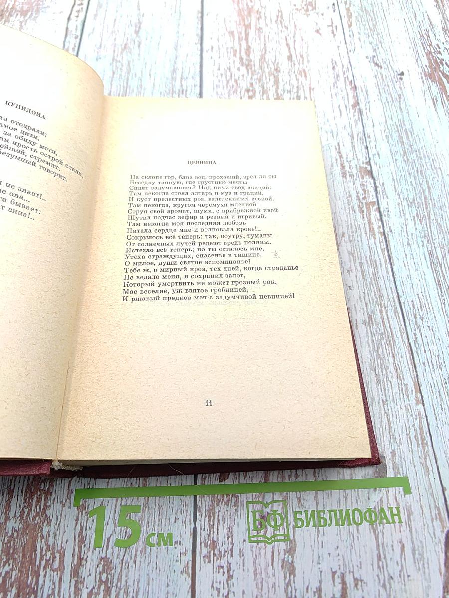 Собрание сочинений. Том первый: Стихотворения 1828-1841