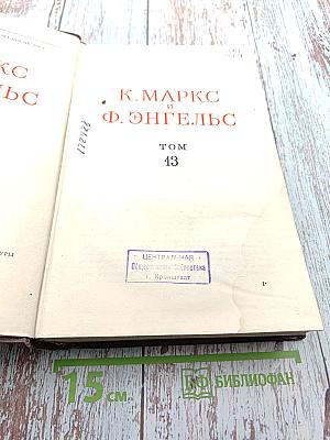 Сочинения. Том 13