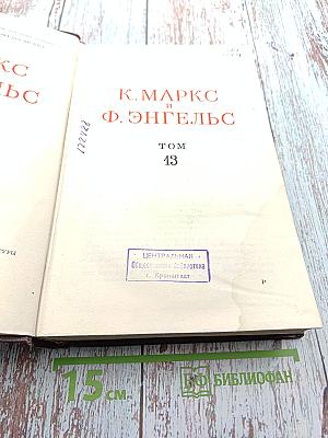 Сочинения. Том 13