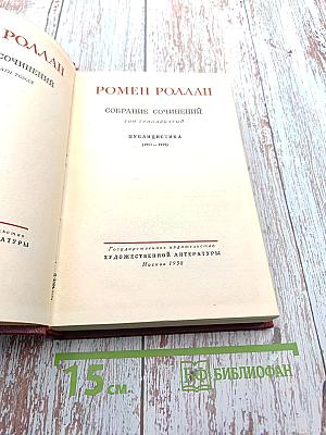 Собрание сочинений. Том тринадцатый. Публицистика (1917-1939)