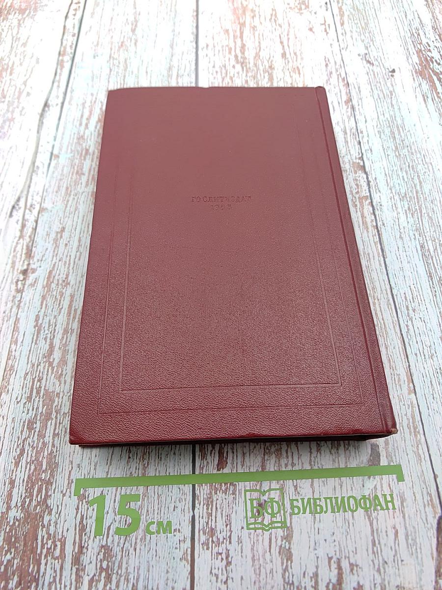 Собрание сочинений. Том тринадцатый. Публицистика (1917-1939)