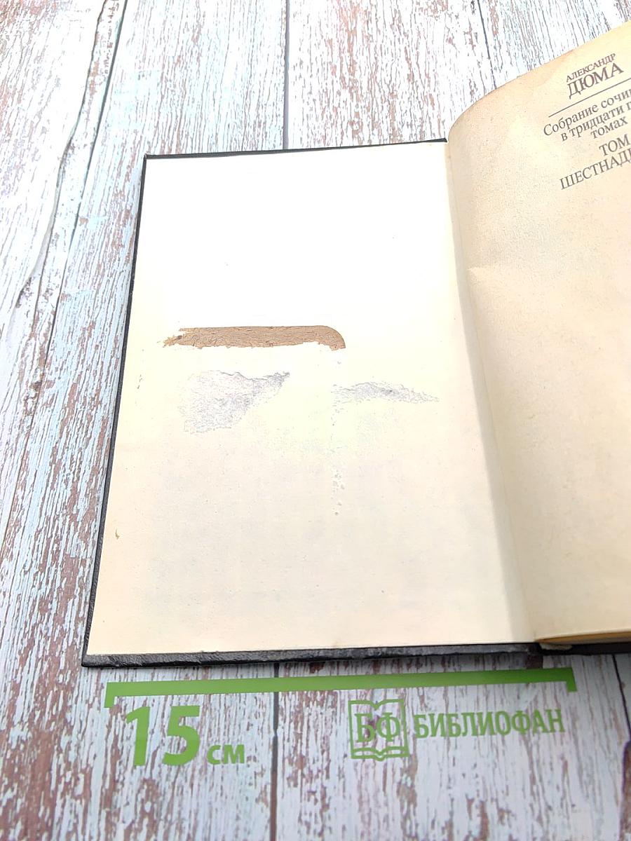 Собрание сочинений в тридцати пяти томах. Том Шестнадцатый. Жозеф Бальзамо (Записки врача). Часть вторая