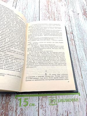 Внучка панцирного боярина