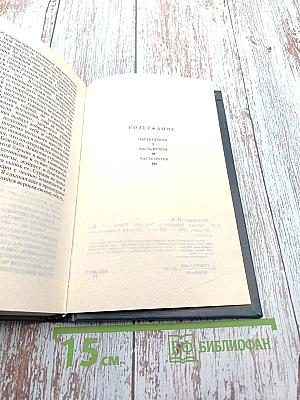 Внучка панцирного боярина