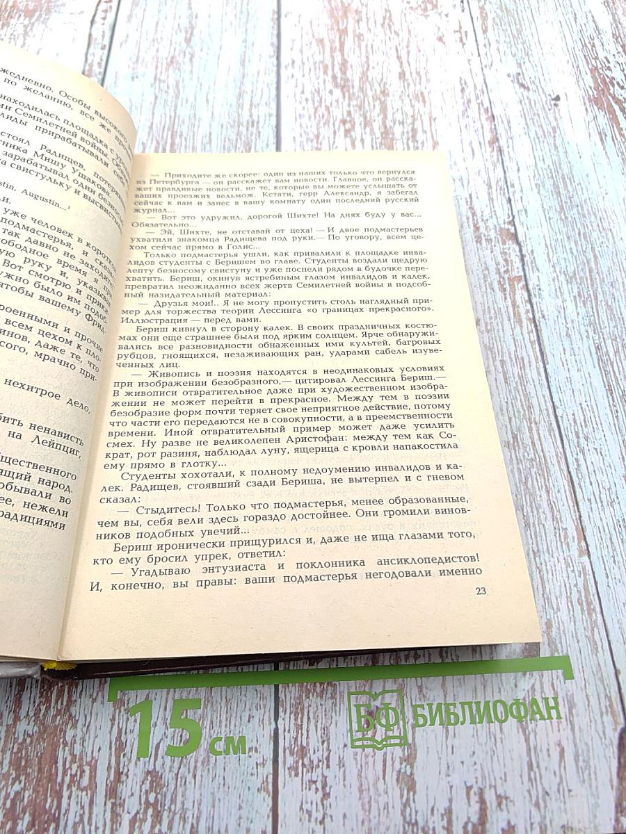 Радищев. Михайловский замок