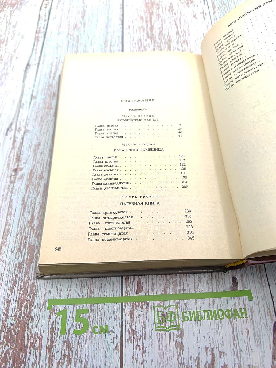 Радищев. Михайловский замок