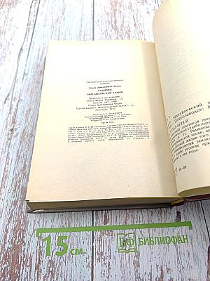 Радищев. Михайловский замок