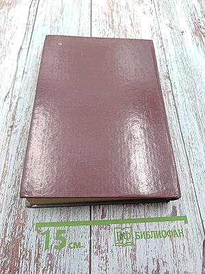 Радищев. Михайловский замок