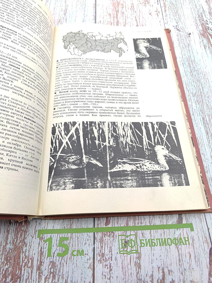 Спортивная охота в СССР. Том I