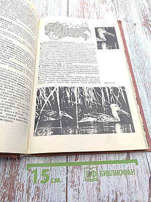 Спортивная охота в СССР. Том I