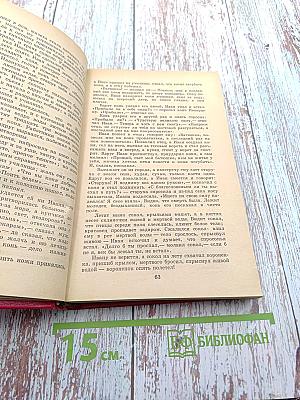 Бой на Калиновом мосту