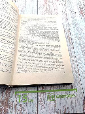 Школьный толковый словарь русского языка