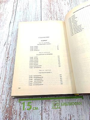 Радищев Михайловский замок