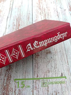 Красная комната. Слово безумца в свою защиту. Одинокий