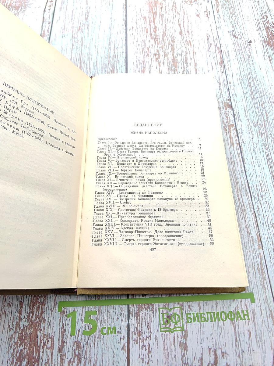Собрание сочинений в пятнадцати томах. Том одиннадцатый: Жизнь Наполеона