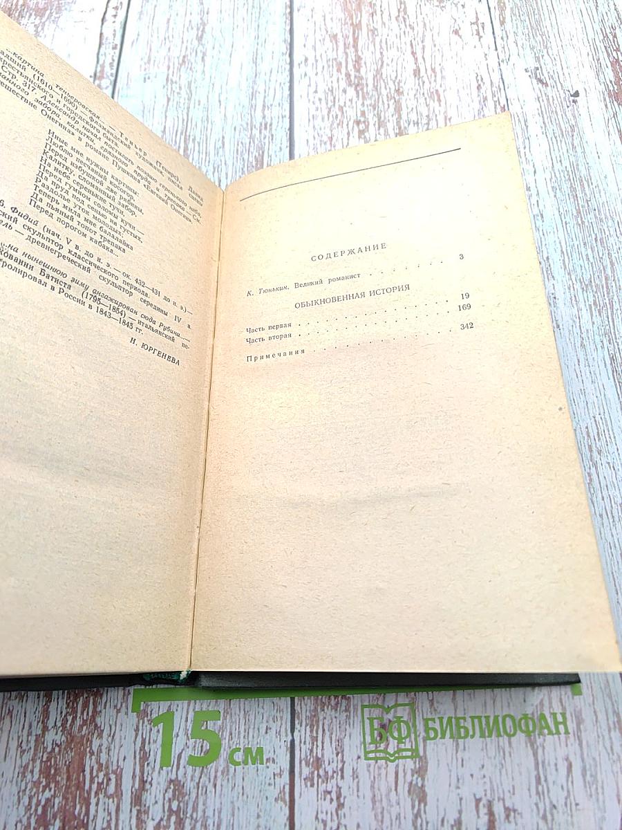 Обыкновенная история. Том 1