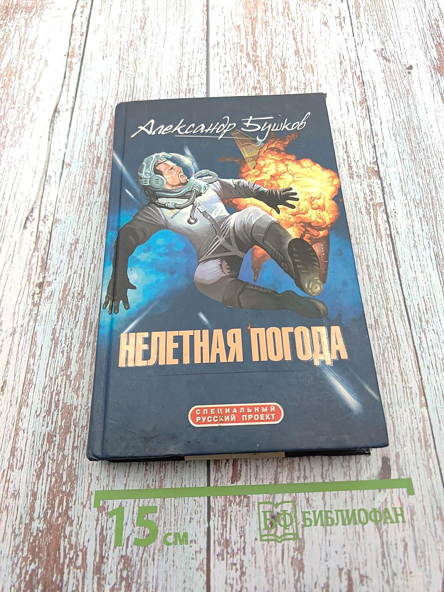 Нелетная погода