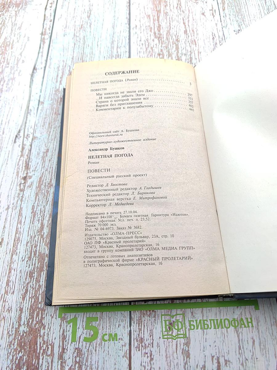 Нелетная погода