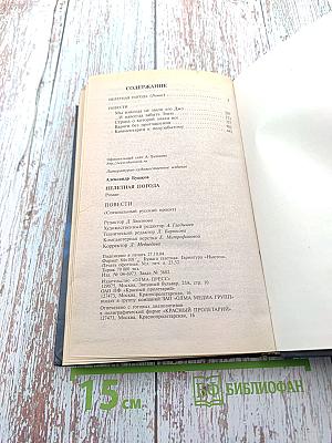 Нелетная погода