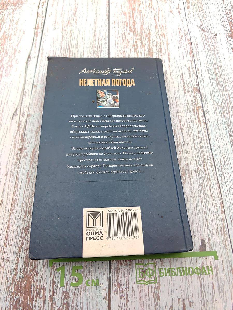 Нелетная погода