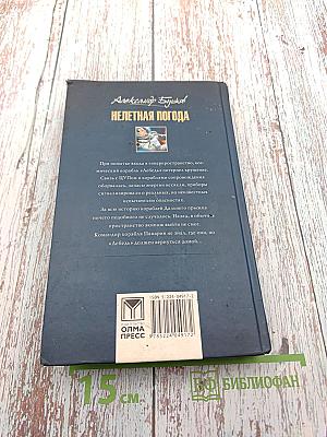 Нелетная погода