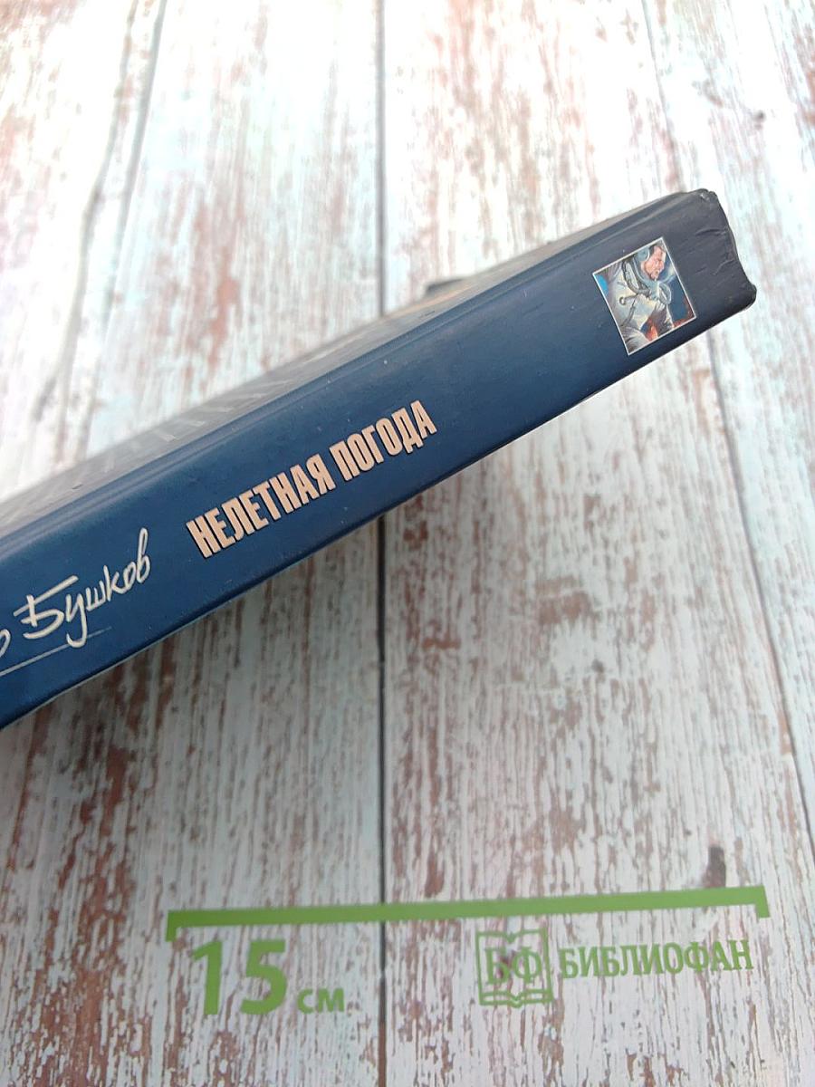 Нелетная погода