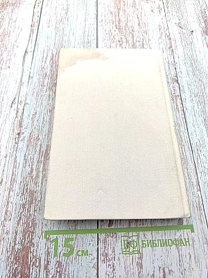 №44, Таинственный незнакомец