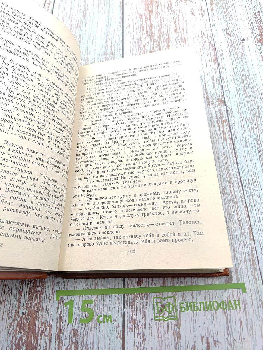 Железный король. Узница Шато-Гайара