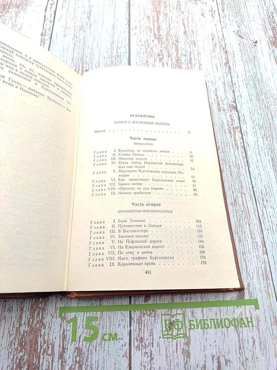 Железный король. Узница Шато-Гайара