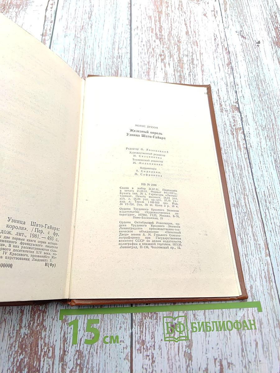 Железный король. Узница Шато-Гайара